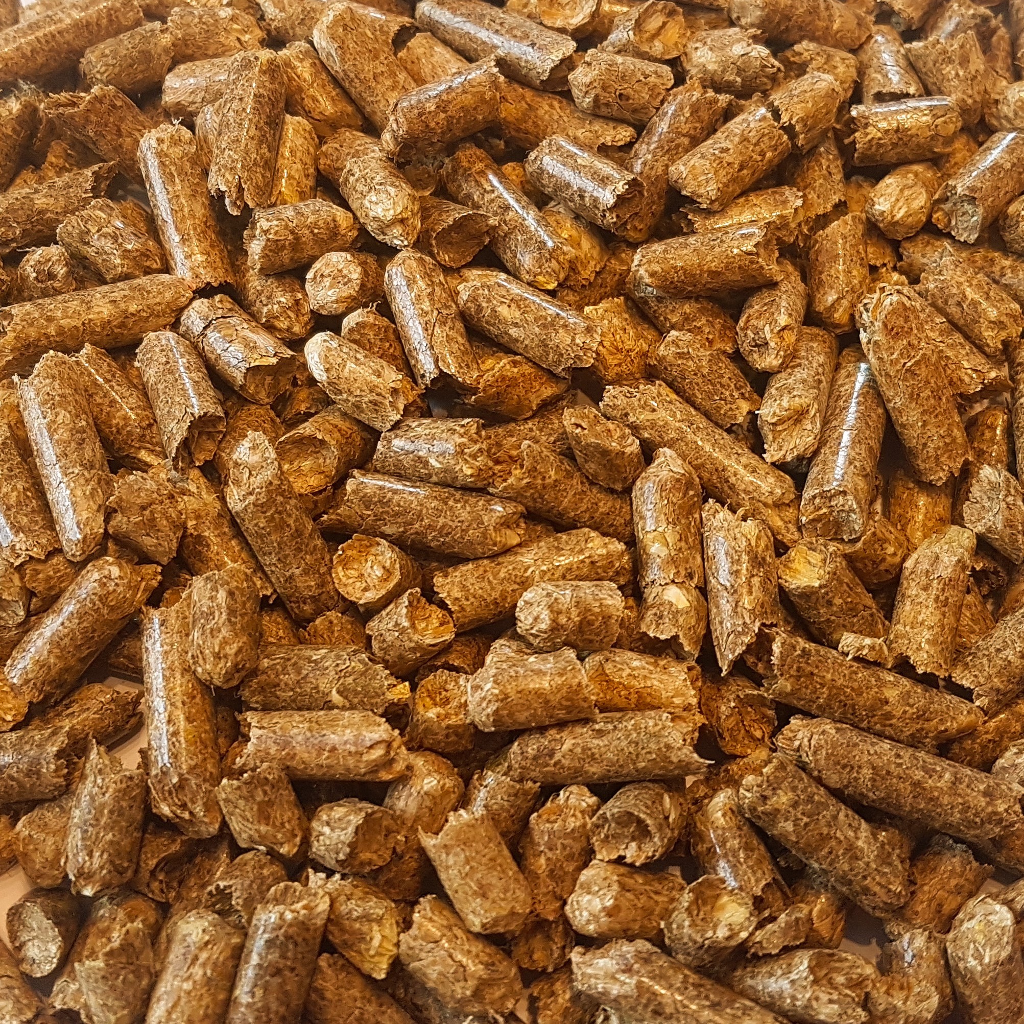 Strohpellets Spezialfutter Neuruppin